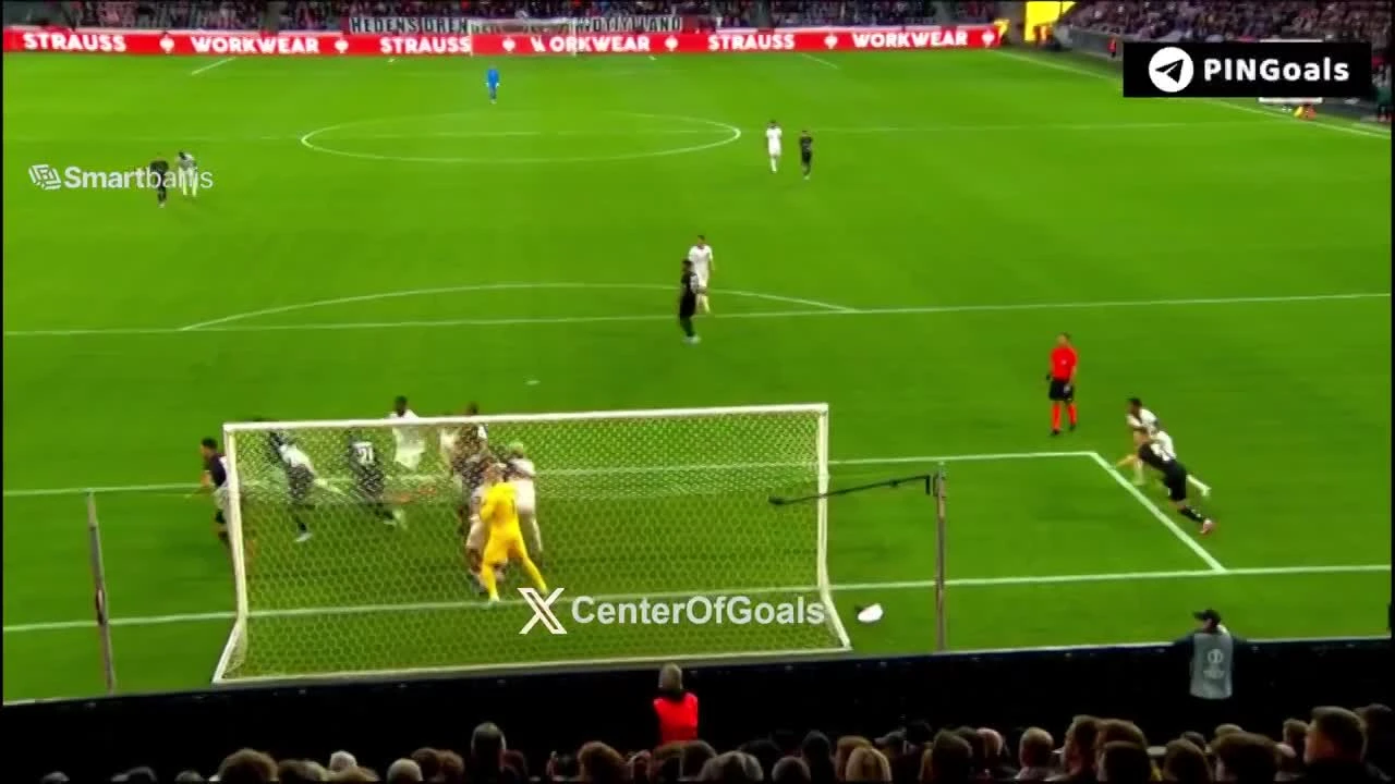 zaslepka skrotu video