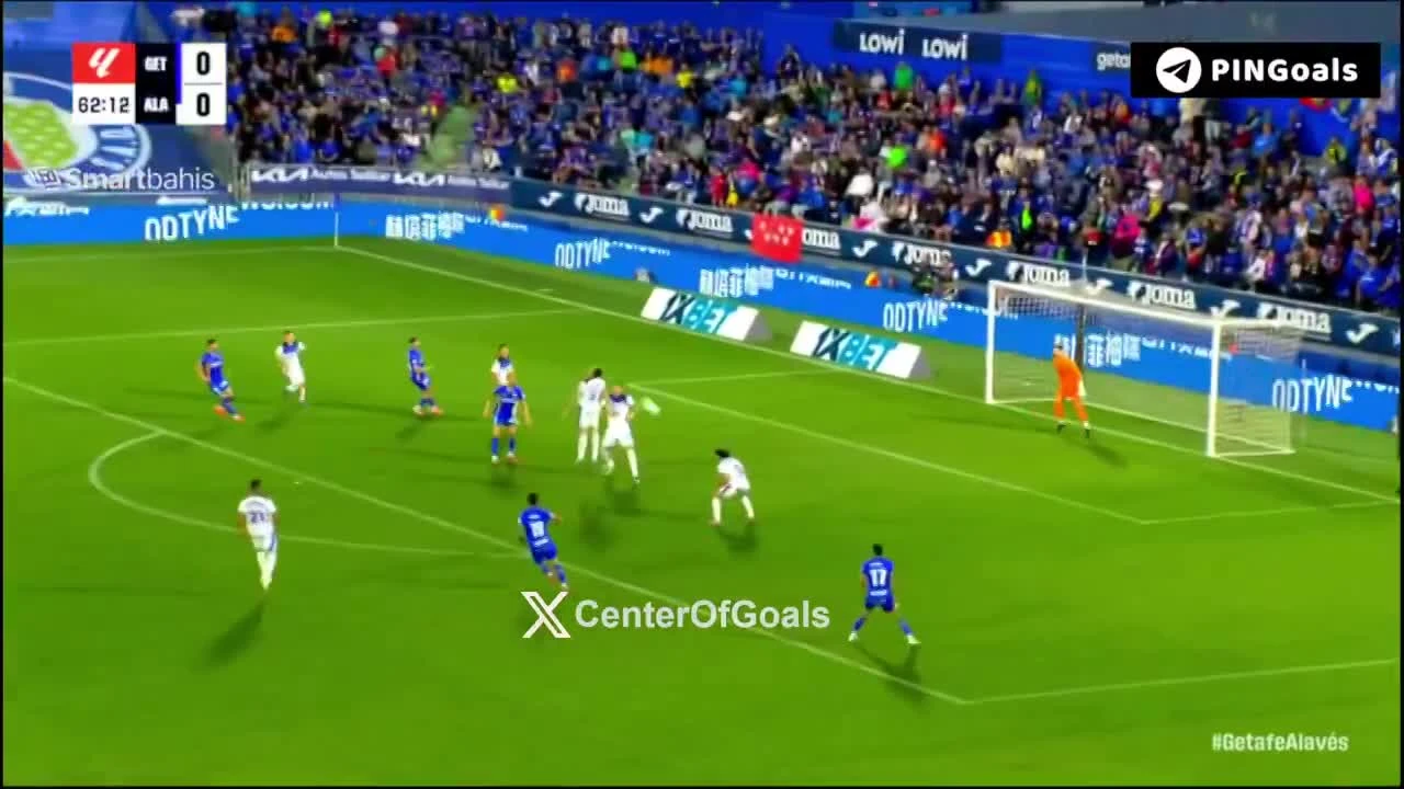 zaslepka skrotu video