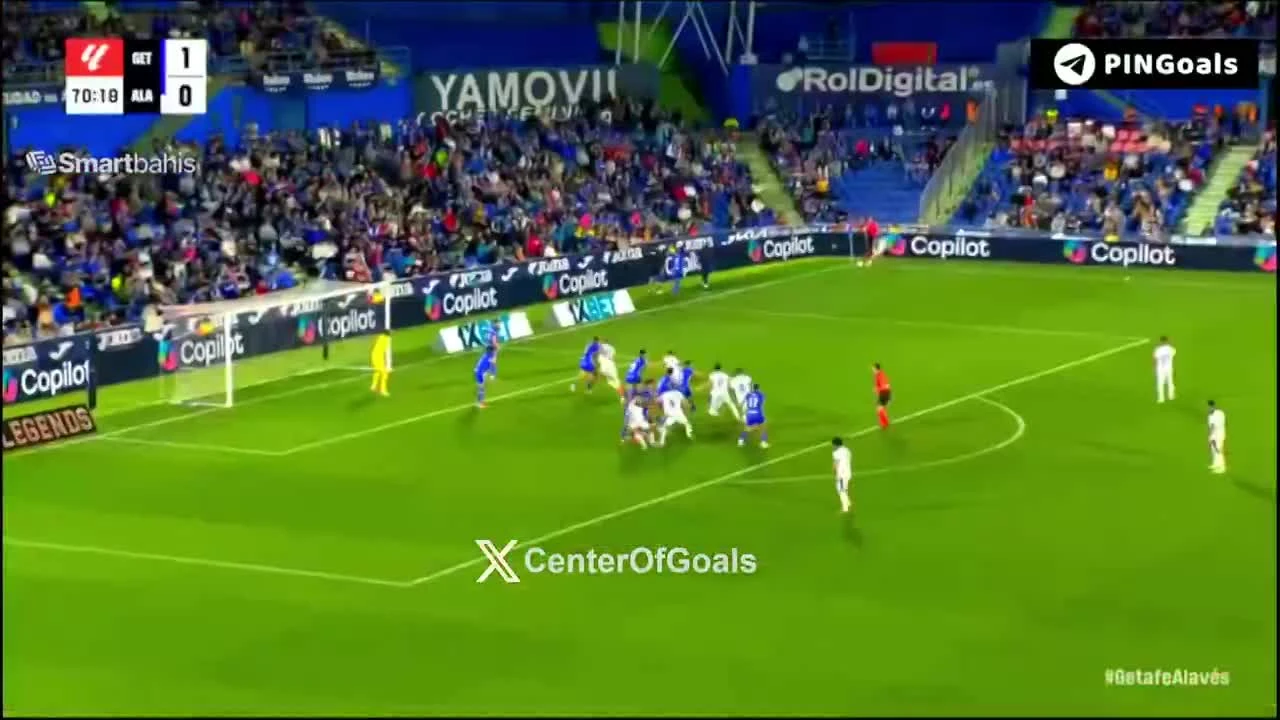 zaslepka skrotu video