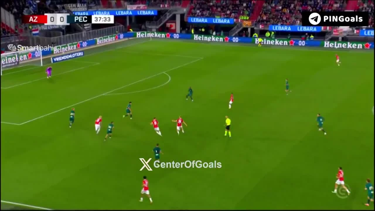 zaslepka skrotu video