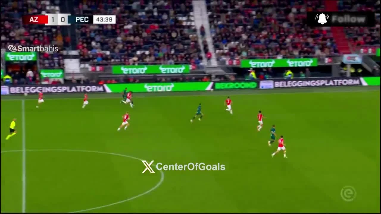 zaslepka skrotu video