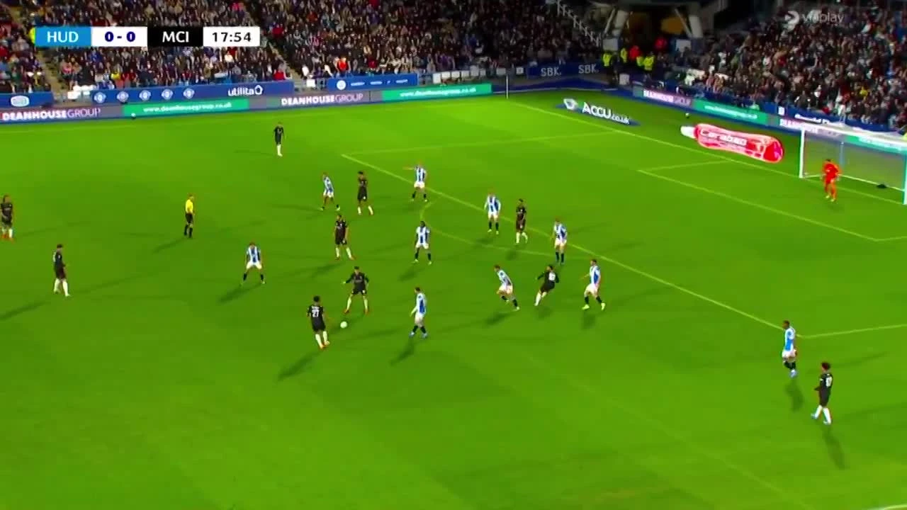 zaslepka skrotu video
