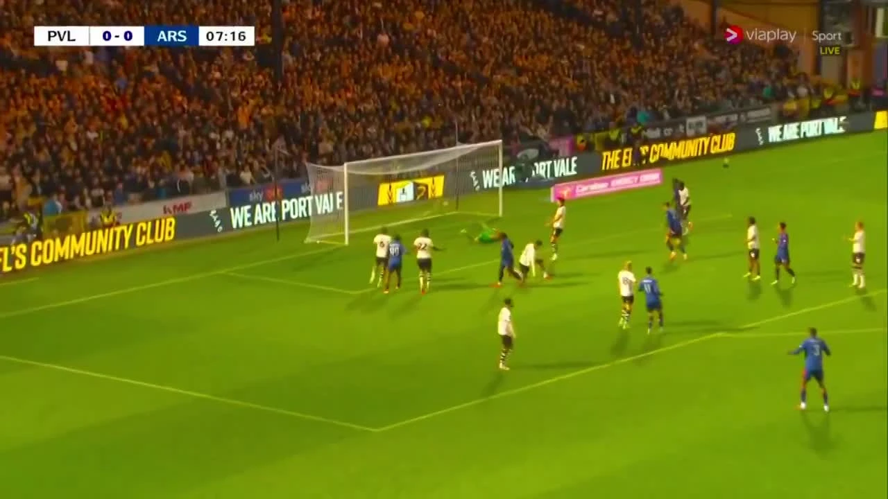 zaslepka skrotu video