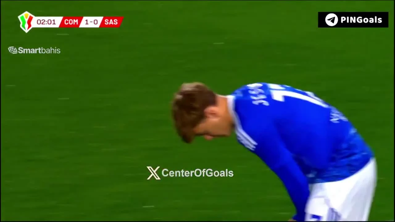 zaslepka skrotu video