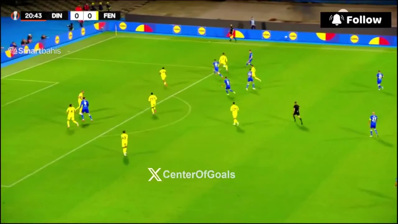zaslepka skrotu video