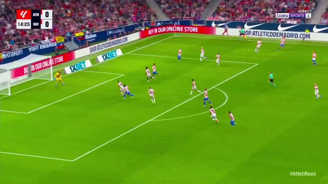 zaslepka skrotu video