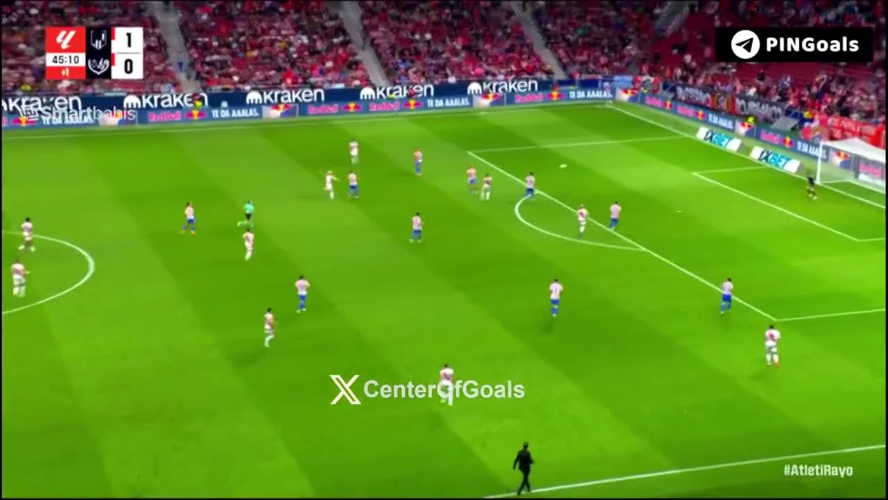 zaslepka skrotu video