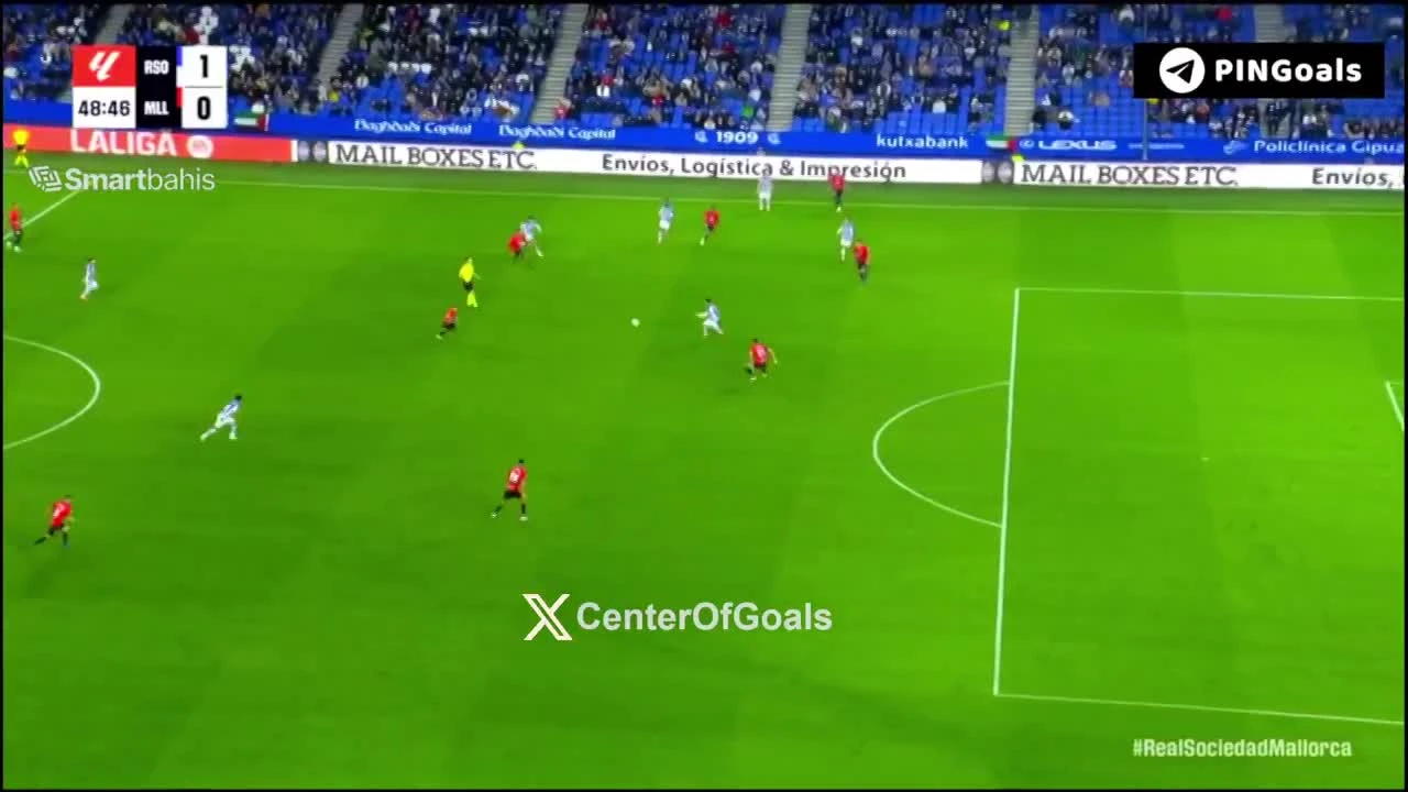 zaslepka skrotu video