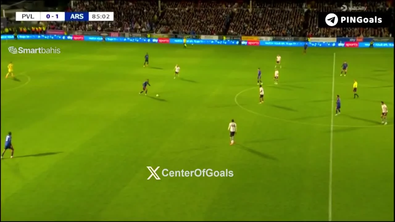 zaslepka skrotu video