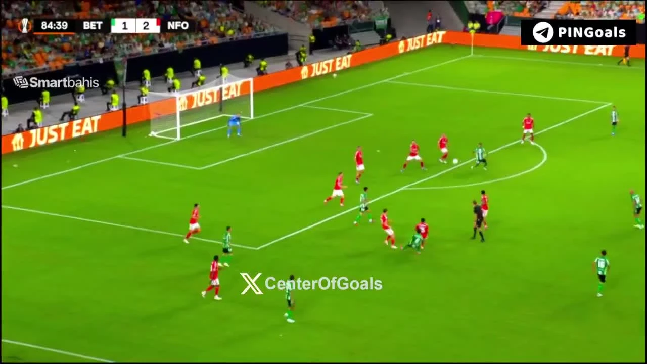 zaslepka skrotu video