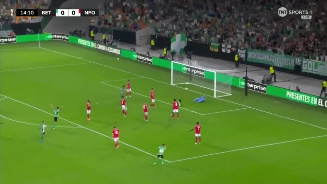 zaslepka skrotu video