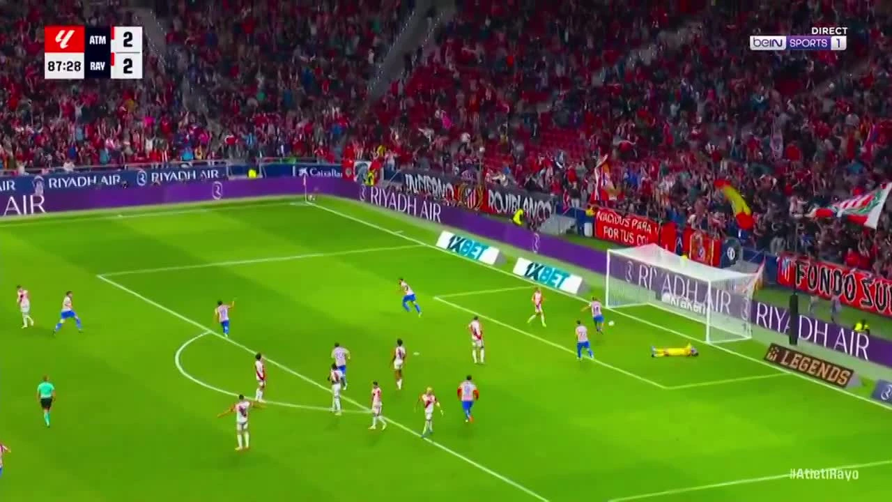 zaslepka skrotu video