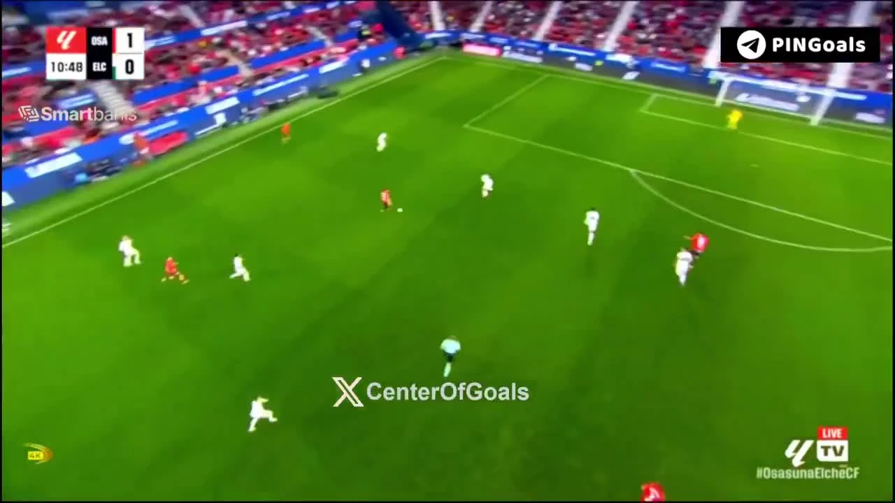 zaslepka skrotu video