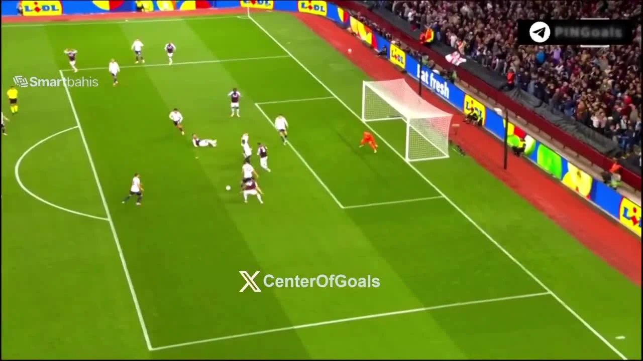 zaslepka skrotu video