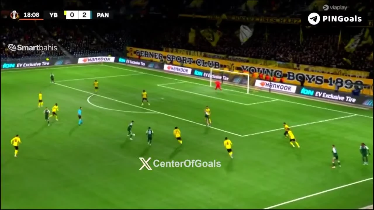 zaslepka skrotu video