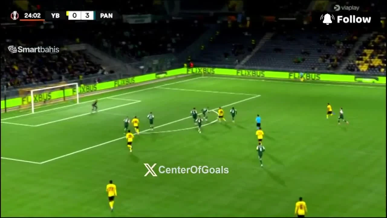 zaslepka skrotu video