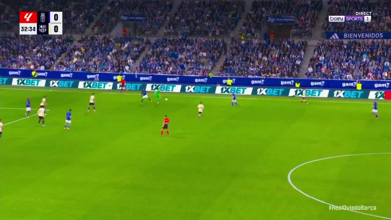 zaslepka skrotu video