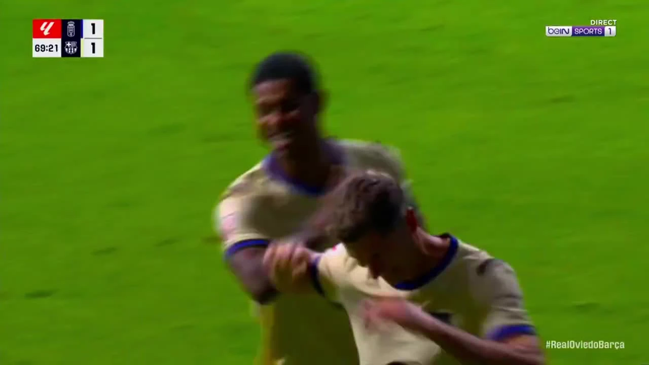 zaslepka skrotu video