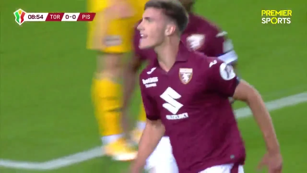 zaslepka skrotu video