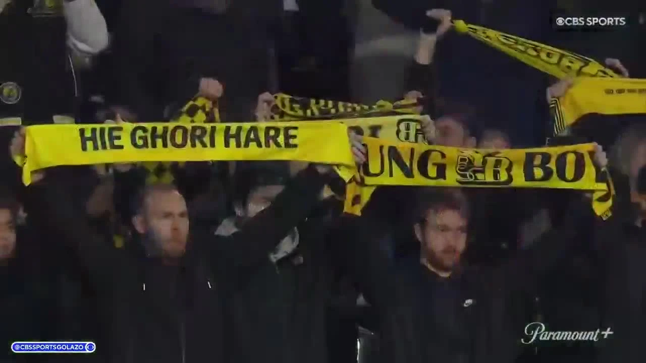 zaslepka skrotu video