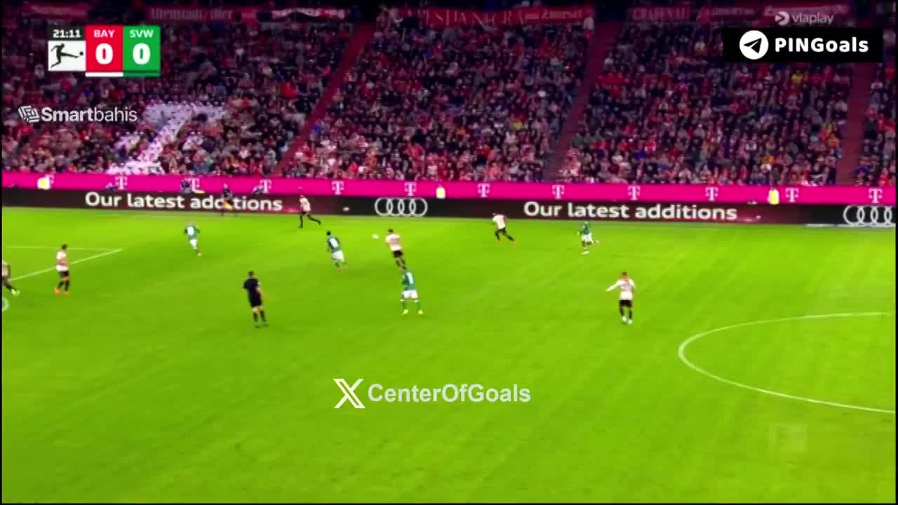 zaslepka skrotu video