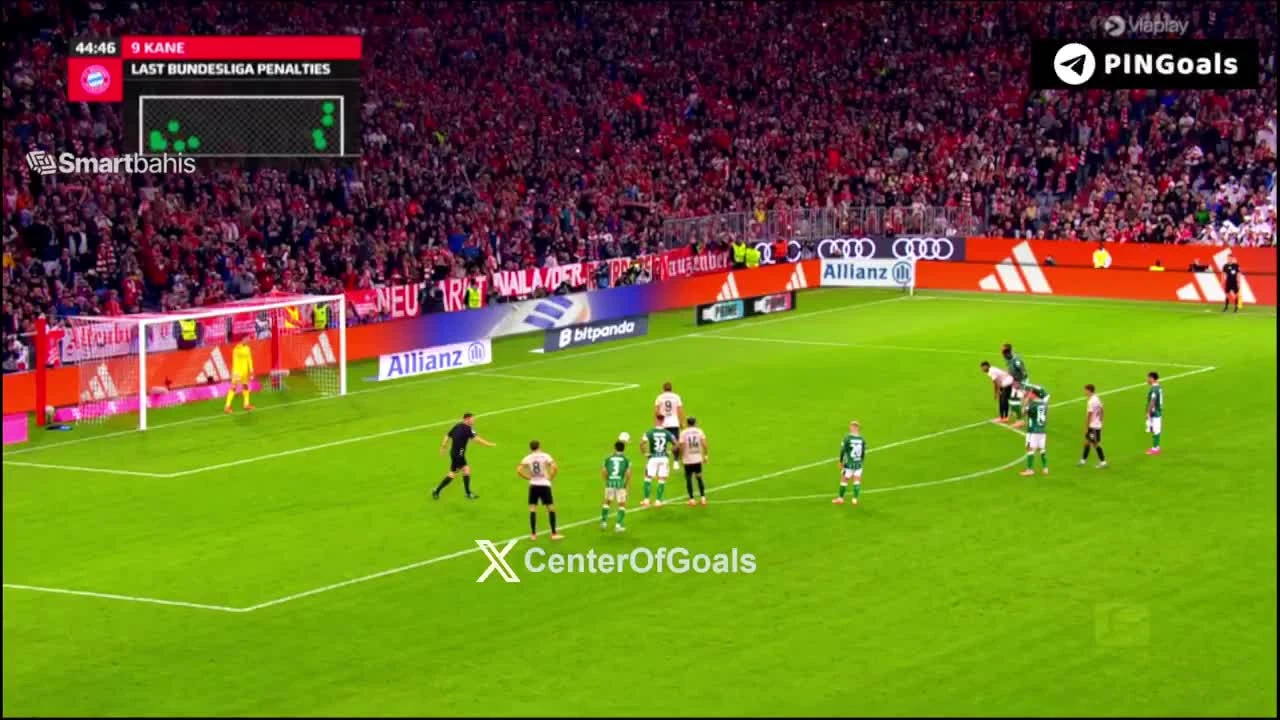 zaslepka skrotu video