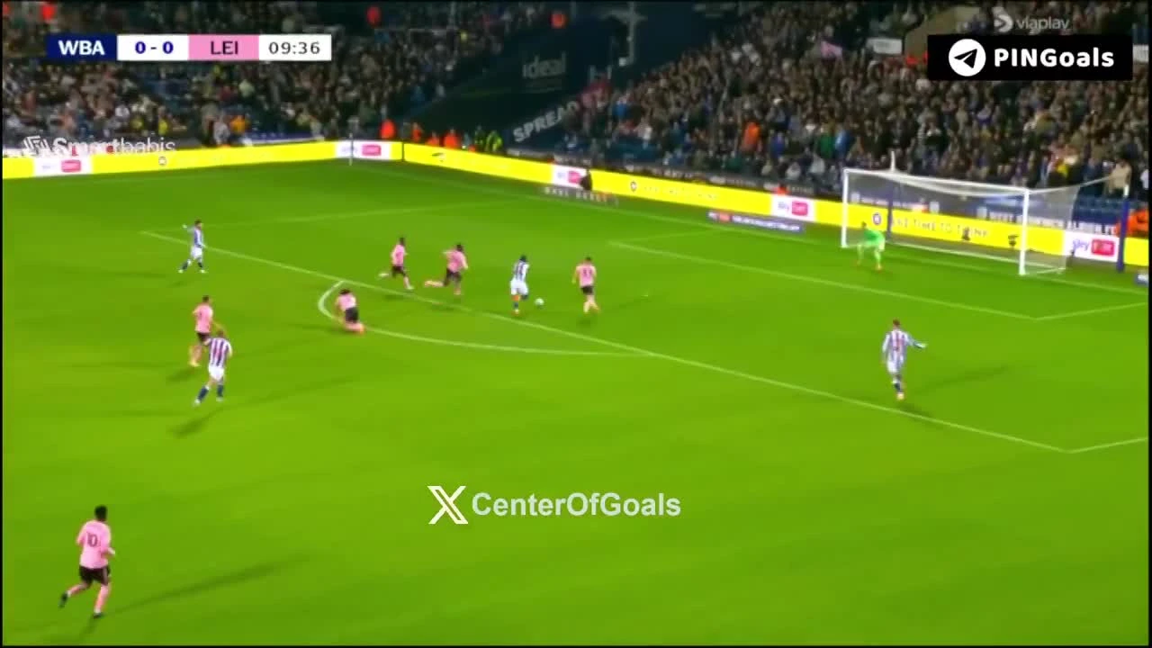 zaslepka skrotu video