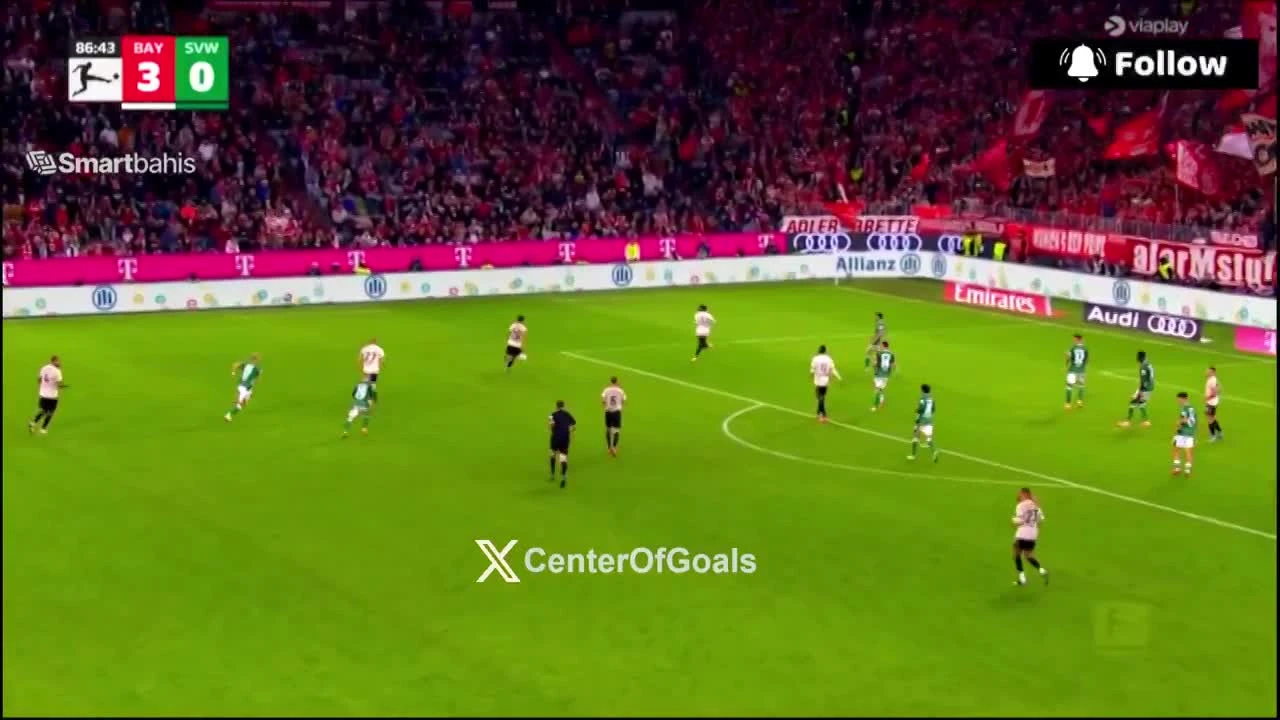 zaslepka skrotu video
