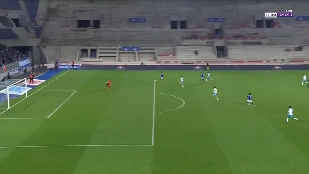 zaslepka skrotu video