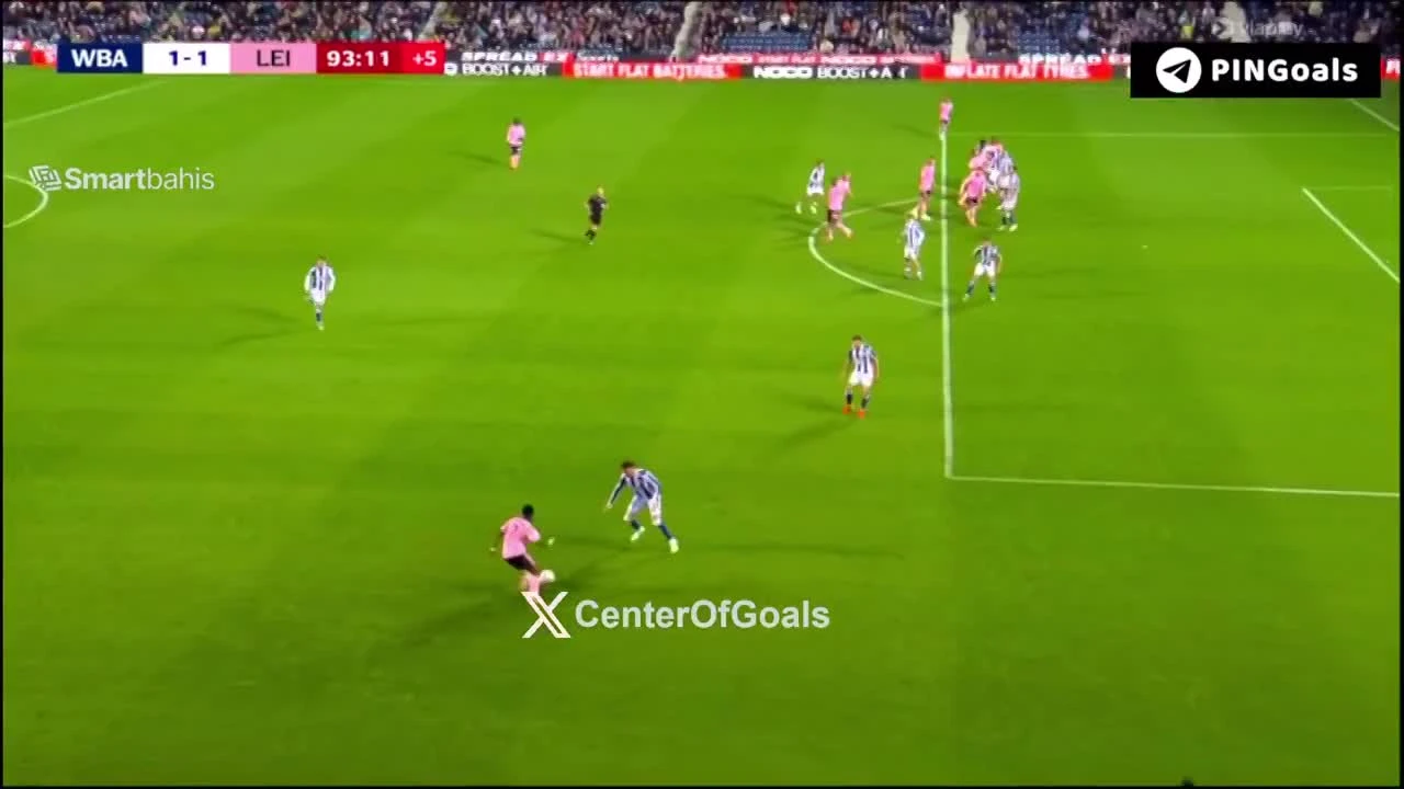 zaslepka skrotu video
