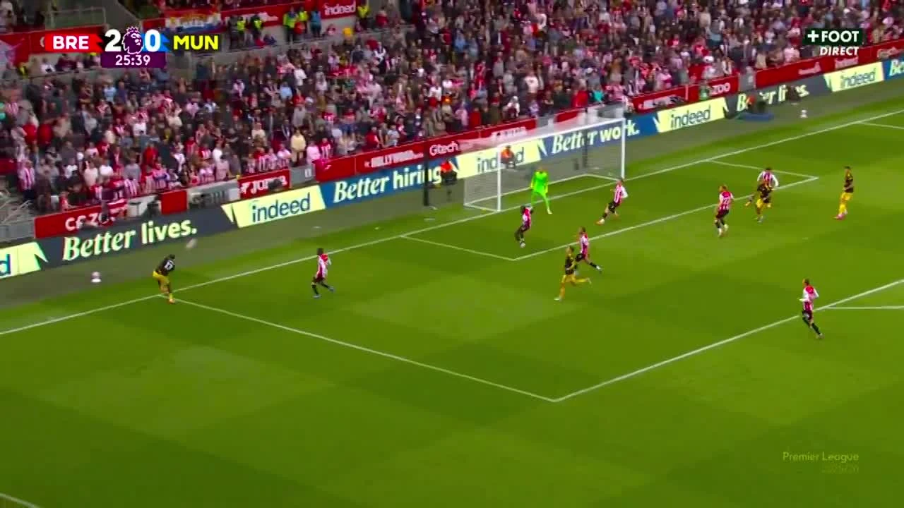 zaslepka skrotu video