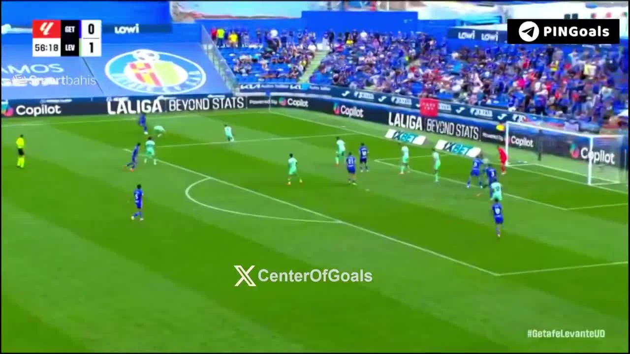 zaslepka skrotu video