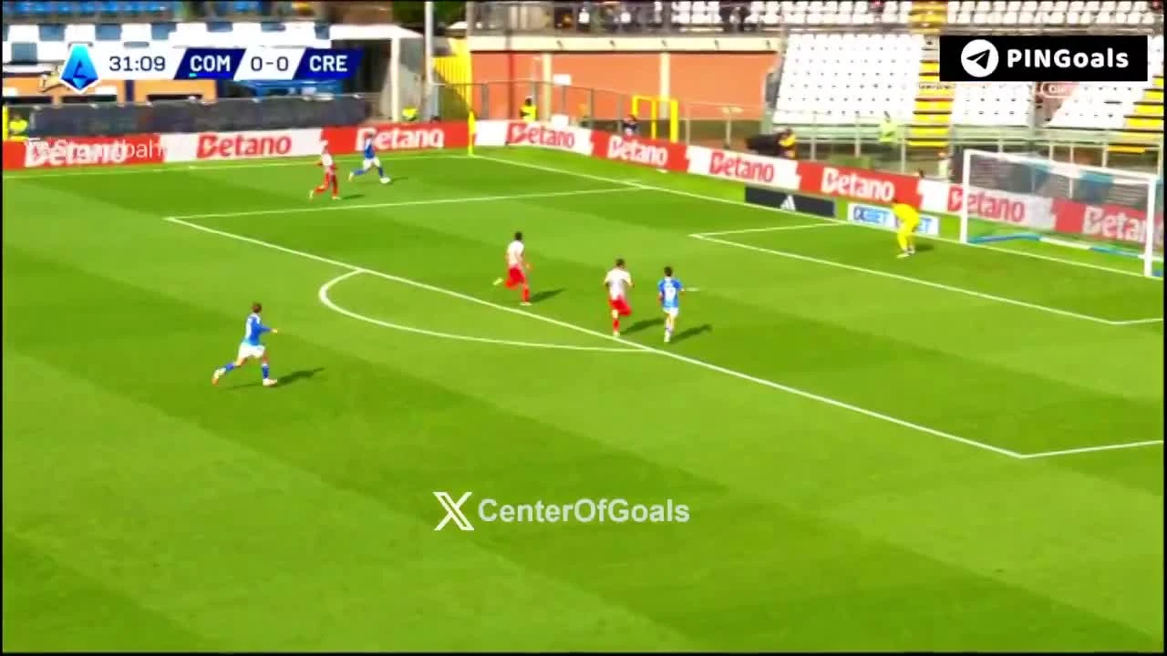 zaslepka skrotu video
