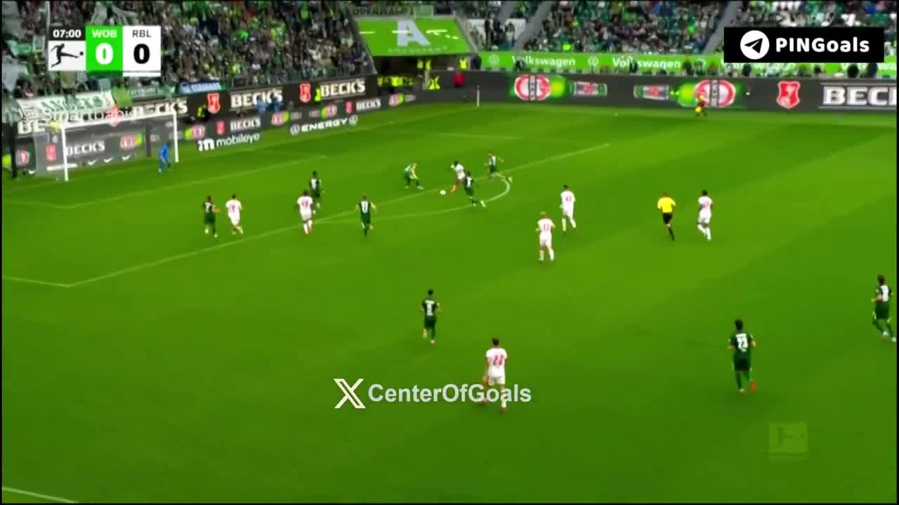 zaslepka skrotu video