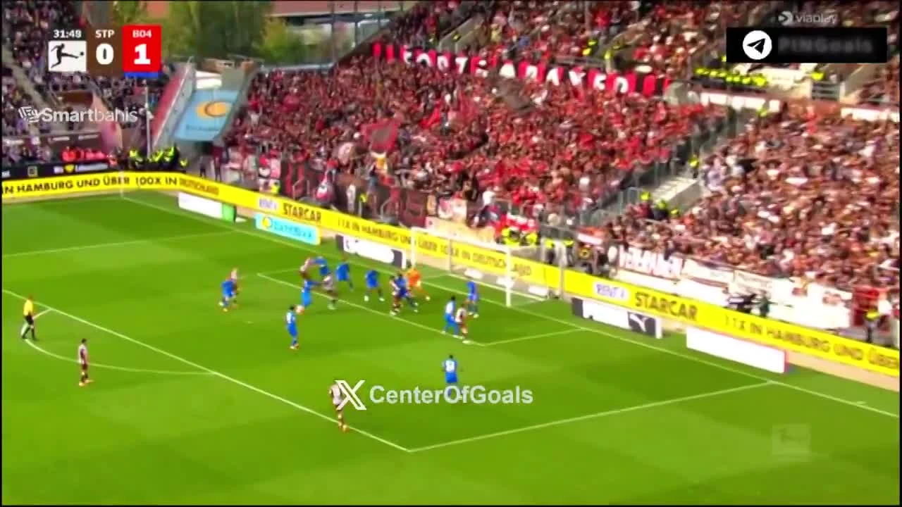 zaslepka skrotu video
