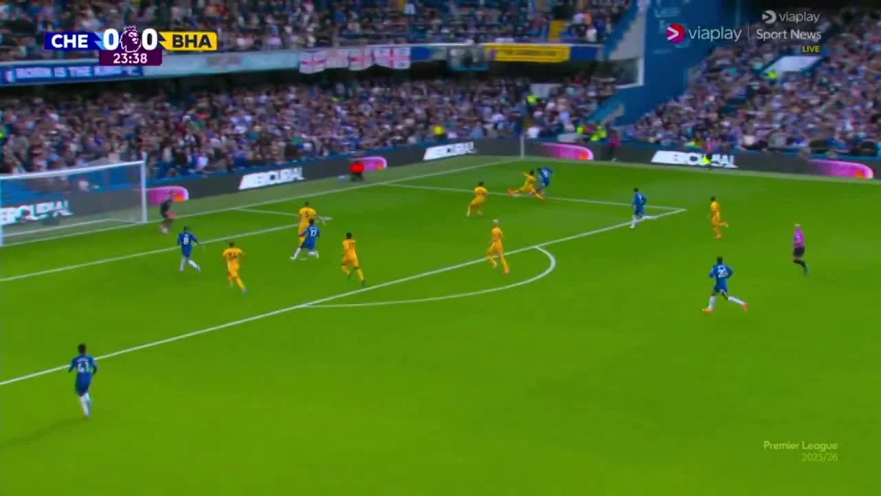 zaslepka skrotu video