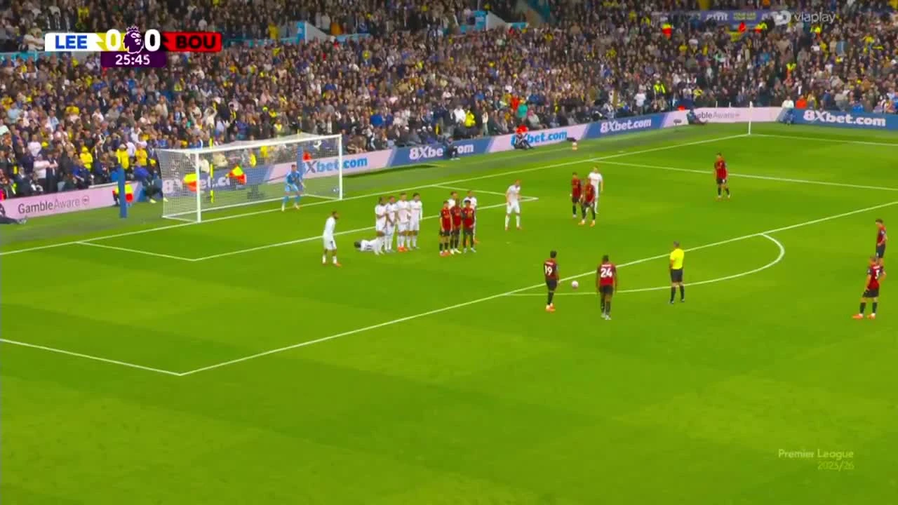 zaslepka skrotu video
