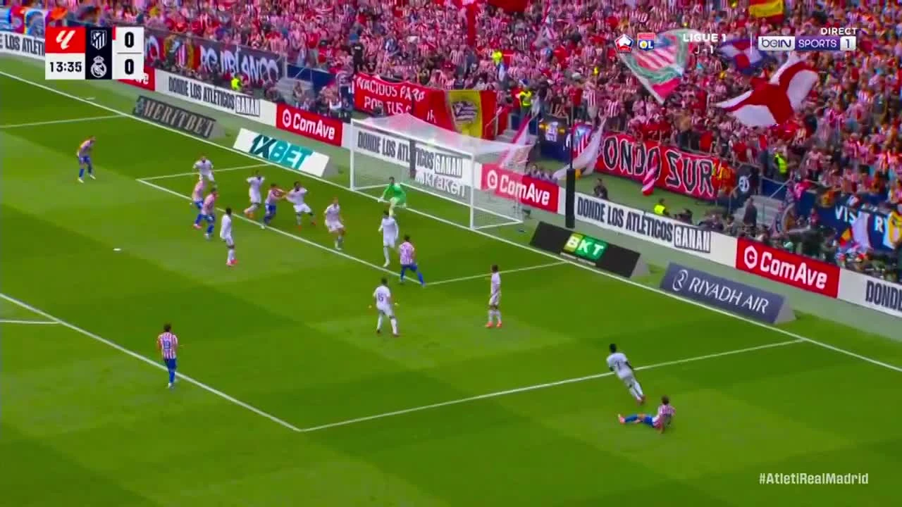 zaslepka skrotu video