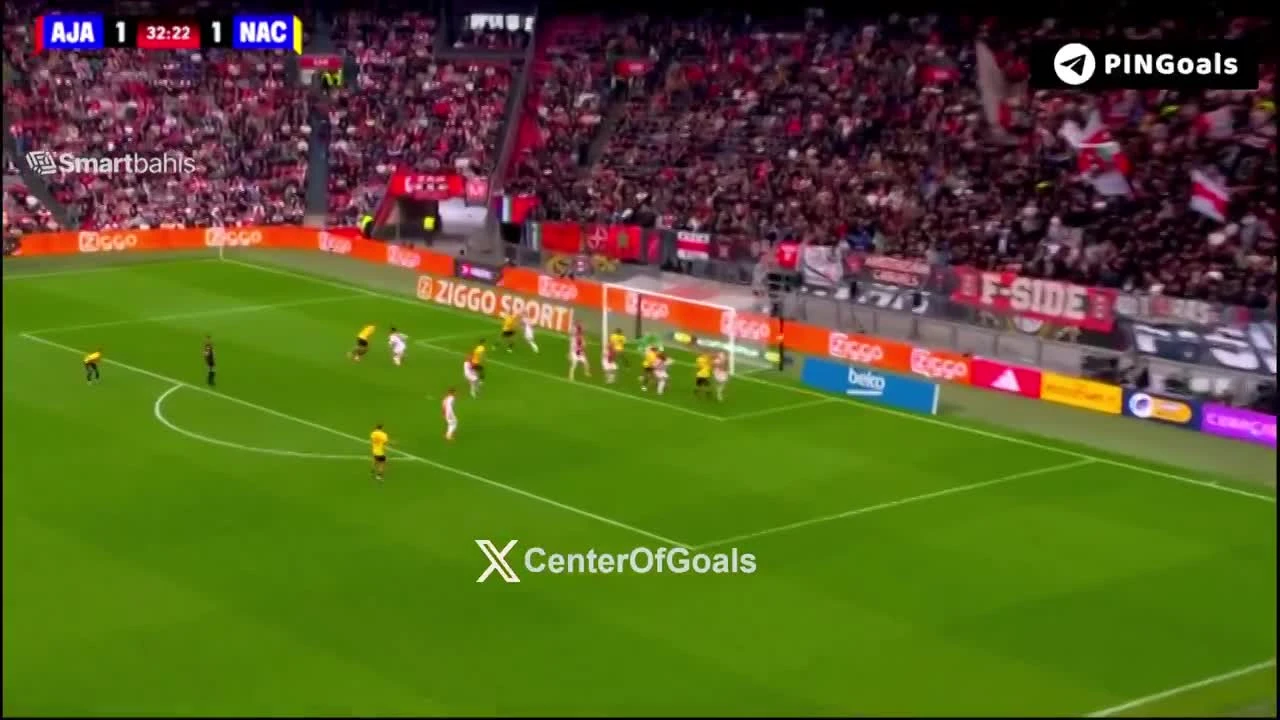 zaslepka skrotu video