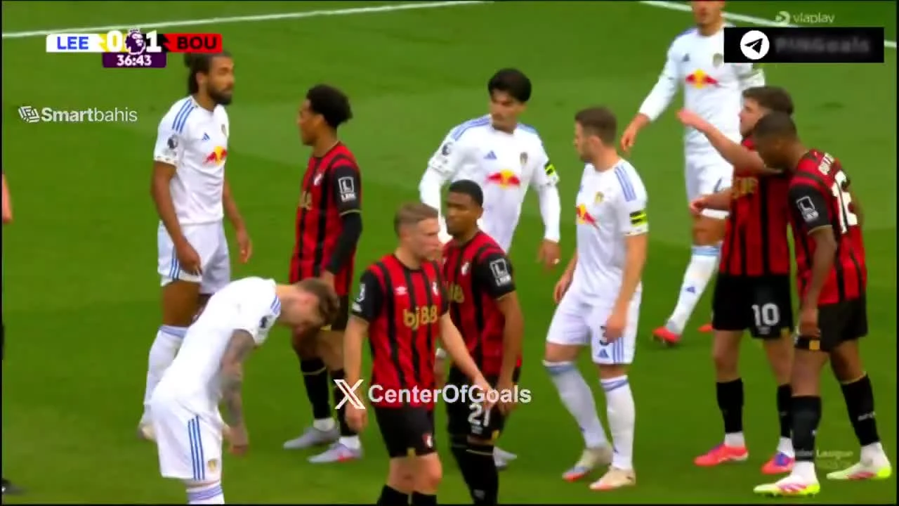 zaslepka skrotu video