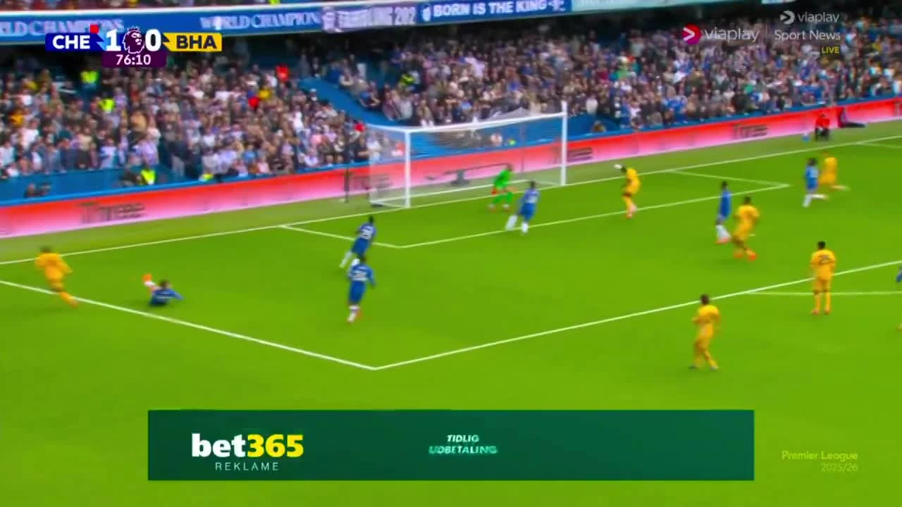 zaslepka skrotu video