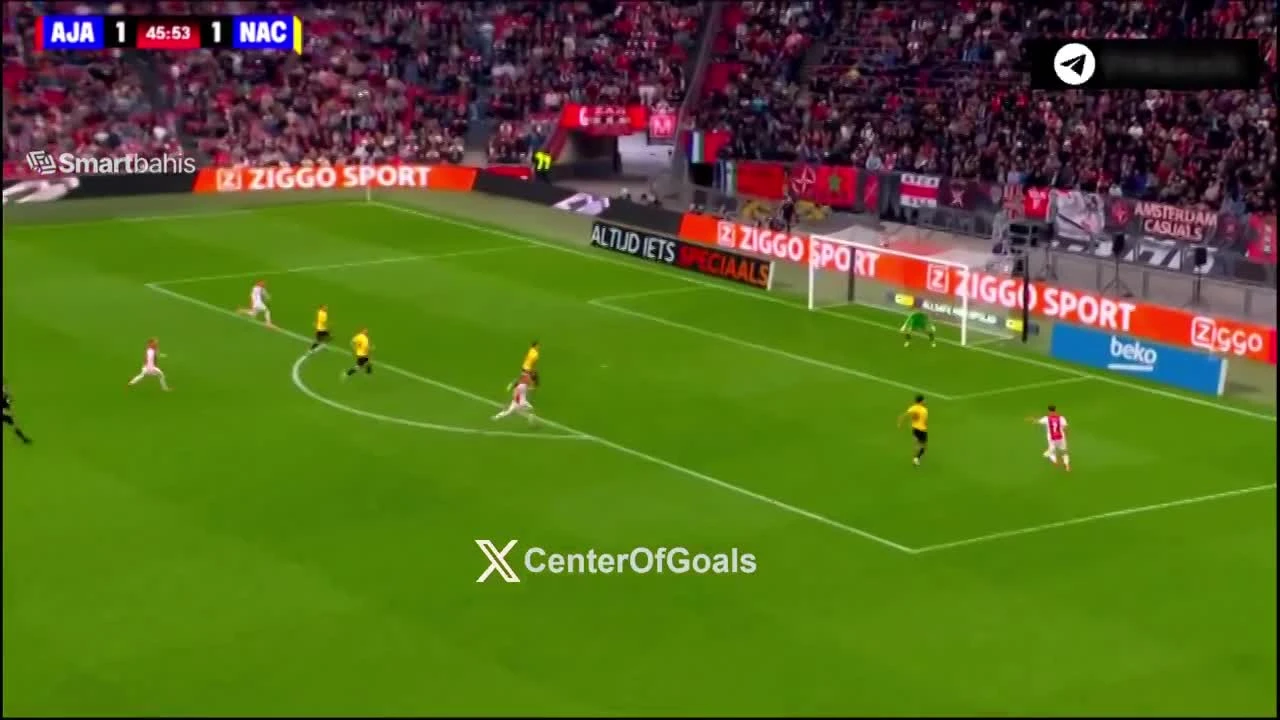zaslepka skrotu video