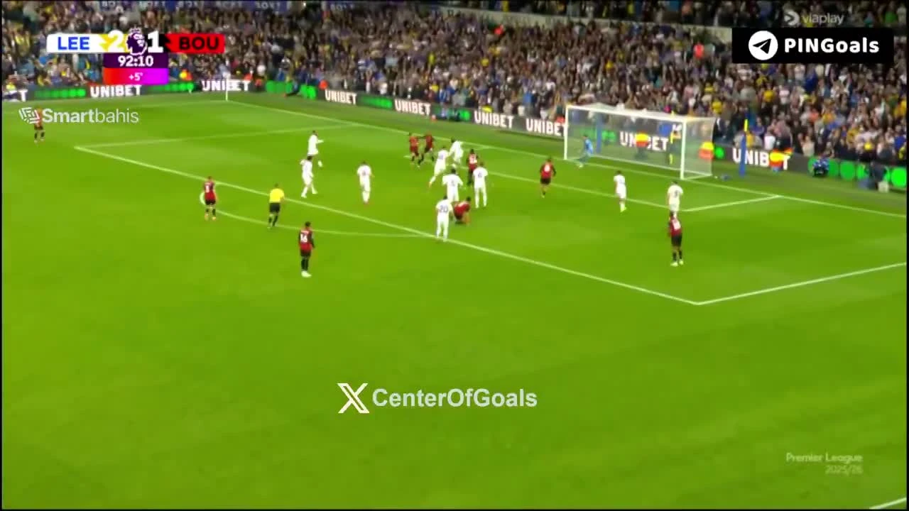 zaslepka skrotu video