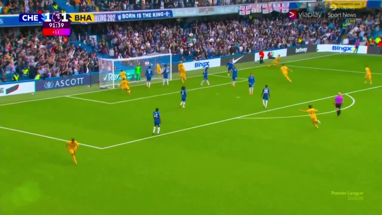 zaslepka skrotu video