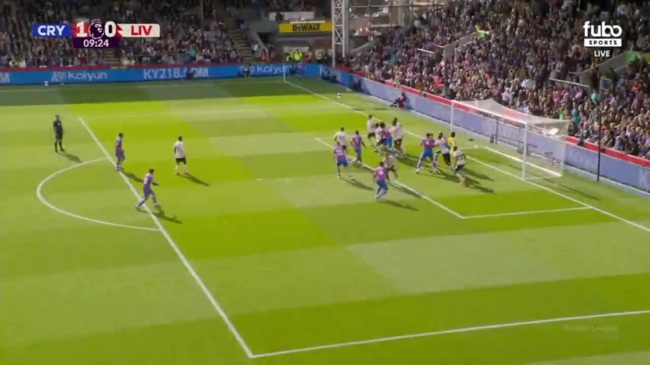 zaslepka skrotu video