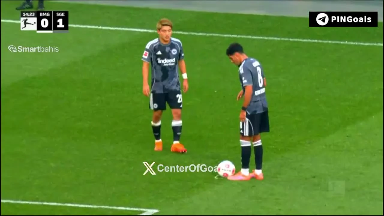 zaslepka skrotu video
