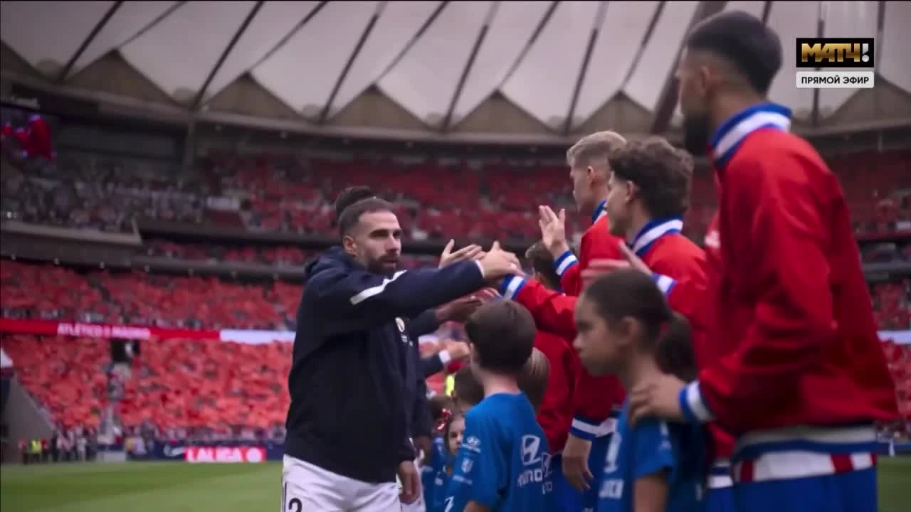 zaslepka skrotu video