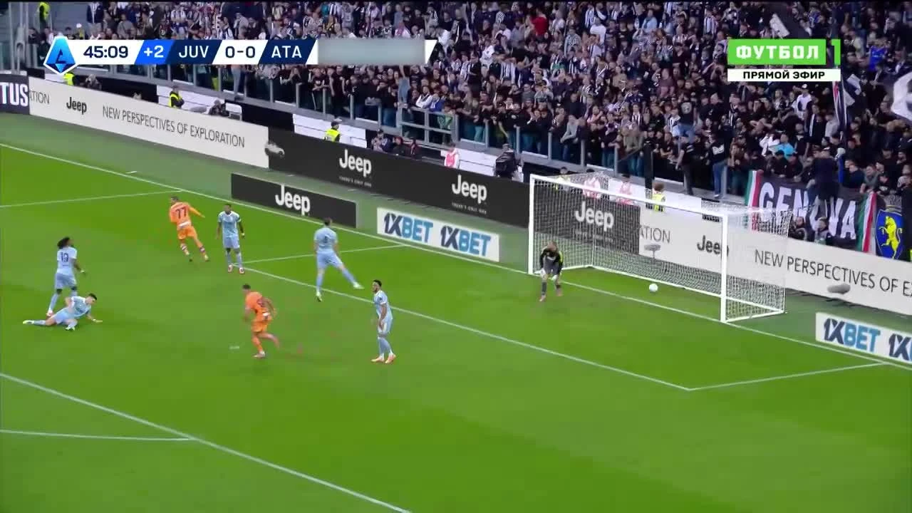 zaslepka skrotu video