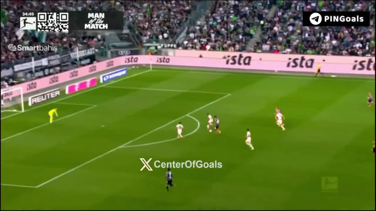 zaslepka skrotu video