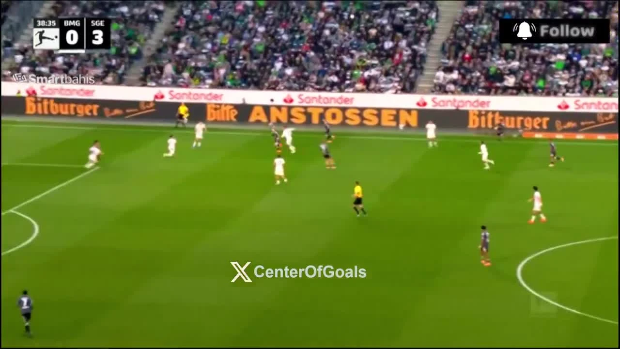 zaslepka skrotu video